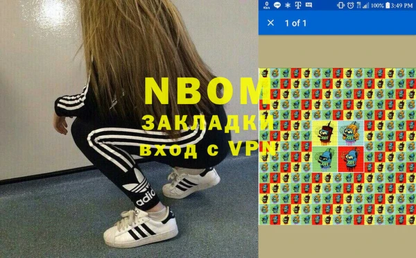 дмт Белокуриха