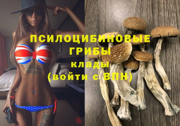 a pvp Беломорск