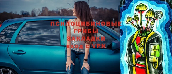 дмт Белокуриха