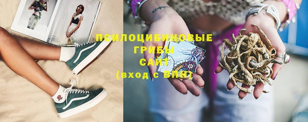 дмт Белокуриха